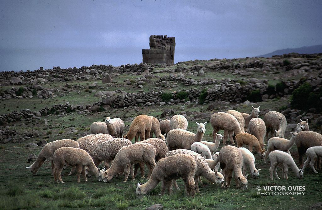 Sillustani